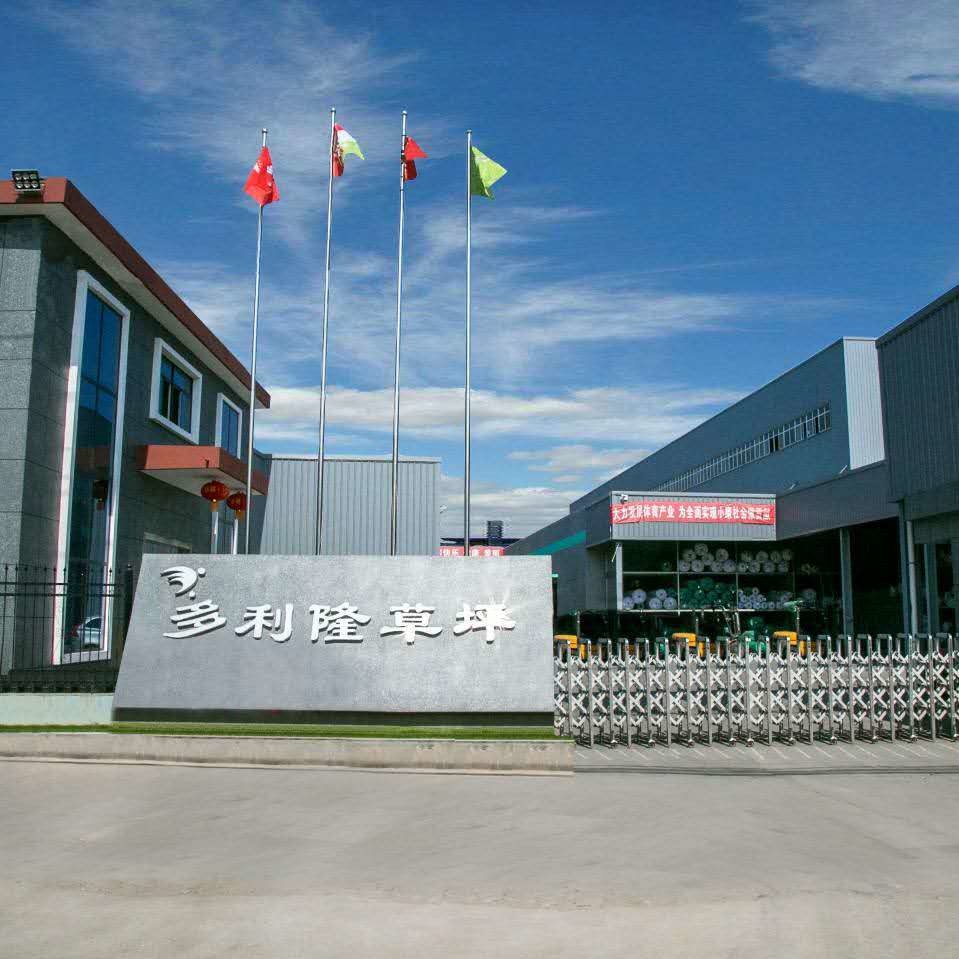 중국 Dorelom artificial grass group co,ltd.