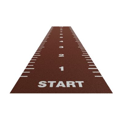 ISO9001 및 ISO14001 인증을 받은 고밀도 합성 잔디 체육관 바닥