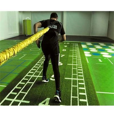 CE ISO9001 ISO14001 인증 도레롬 사전 꿰매진 체육관 잔디 스포츠 바닥 크로스 피트