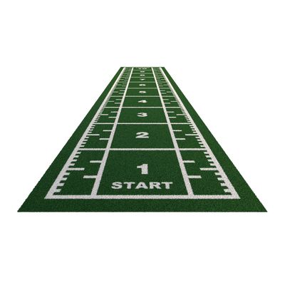 도레롬 두꺼운 고밀도 체육관 바닥 잔디 인공 잔디 매트 CE ISO9001 ISO14001