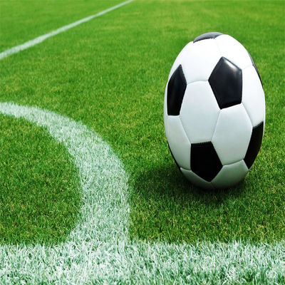 야외 스포츠용 축구 경기장 및 체육관용 50mm 60mm 자연 비 채식 축구 잔디