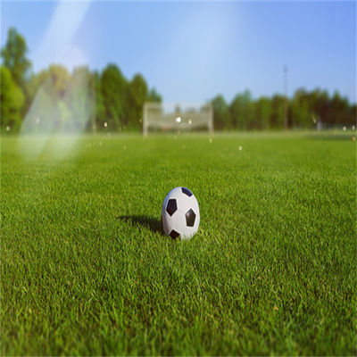 야외 스포츠용 축구 경기장 및 체육관용 50mm 60mm 자연 비 채식 축구 잔디