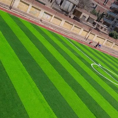 축구장 W 모양 양색 자외선 저항성 PE 단사지 인공 잔디
