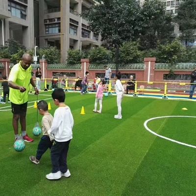 스티치 속도 16.5/10cm 50mm 축구 인위 잔디 축구 경기장용 합성 잔디