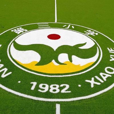 PE PP 뒷면 인위 잔디 로고 색상 패턴 합성 잔디 미니 축구 카펫