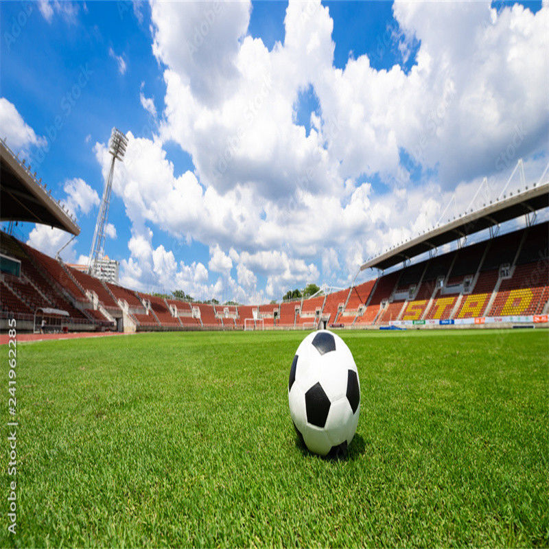 PE 녹색 미니 풋볼 경기장 축구 경기장 바닥을 위한 인공 잔디 축구 경기장